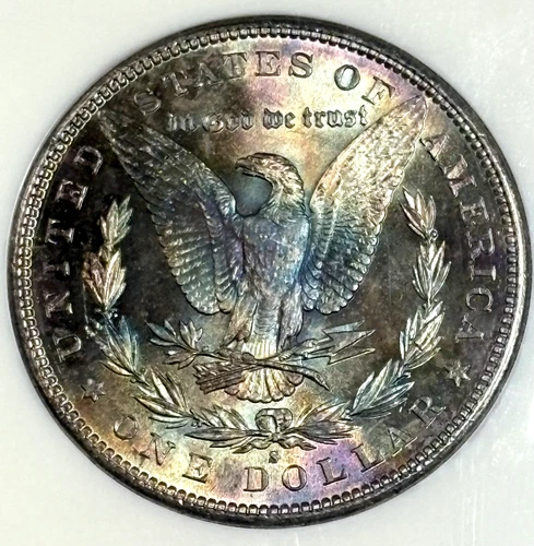 1881 S Toned Morgan $💎💎NGC MS 65💎💎Flashy Monster Reverse Stunner💎💎VIDEO