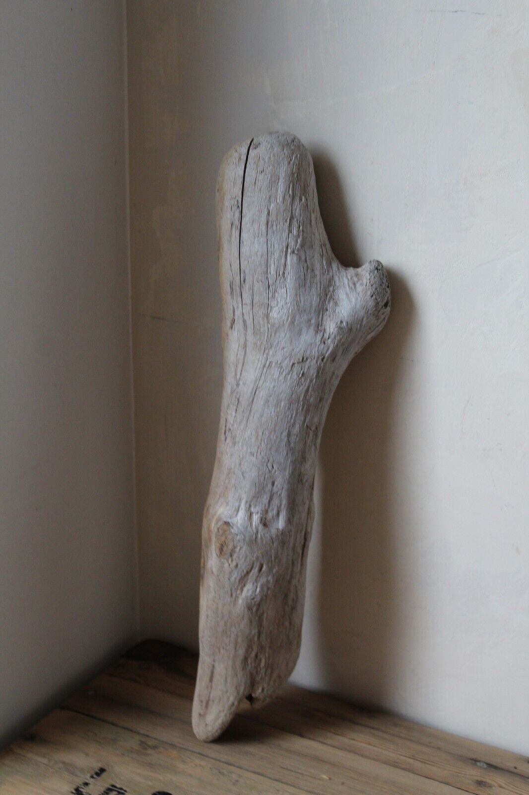 DIY Treibholz Skulptur aus Norwegen Schwemmholz Ast 50 cm Deko Shabby