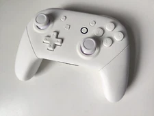 Nintendo Switch Custom Solid White Pro Controller