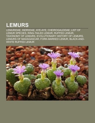 Lemurs Source