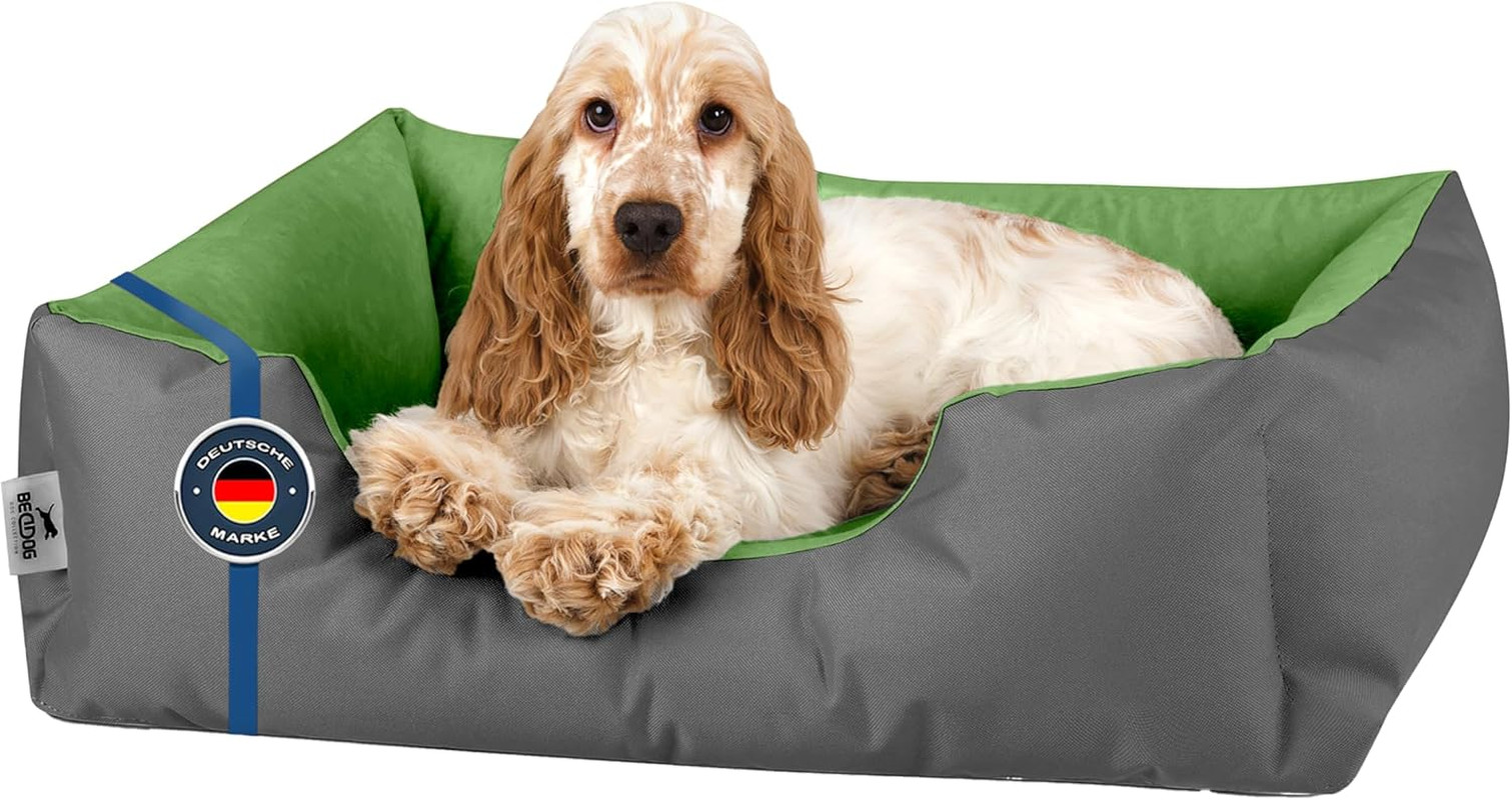 Cuccia S Elegante per Cani Piccoli: Divano Soft con Fodera Rimovibile