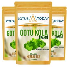 Herbal Tea Gotukola 60Tea Bags All Natural Herb Supports boosts Memory Vitality