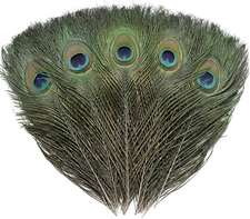 12 PCS Real Natural Peacock Eye Feathers 10-12 inch for DIY Craft, Wedding... 