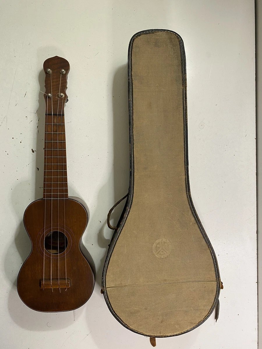 Washburn ukulele sales