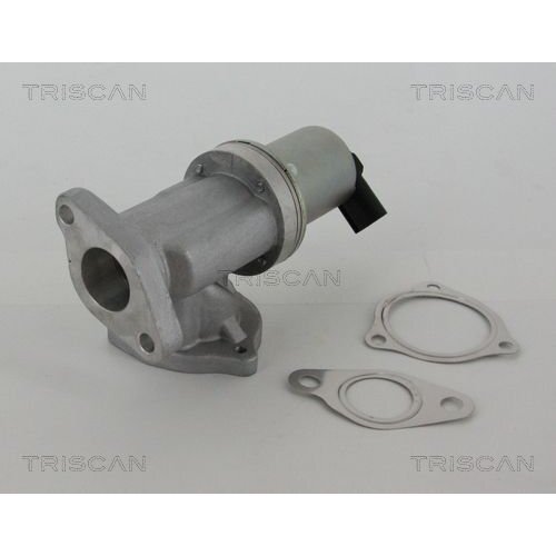 Agr-Ventil Triscan 881343002 FüR Hyundai Santa Fé Ii Tucson-image