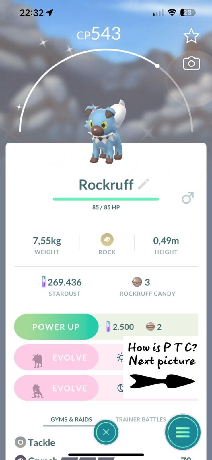 Pokémon Go - Shiny Morelull - Mini PTC 80K Stardust✨Read Description✨