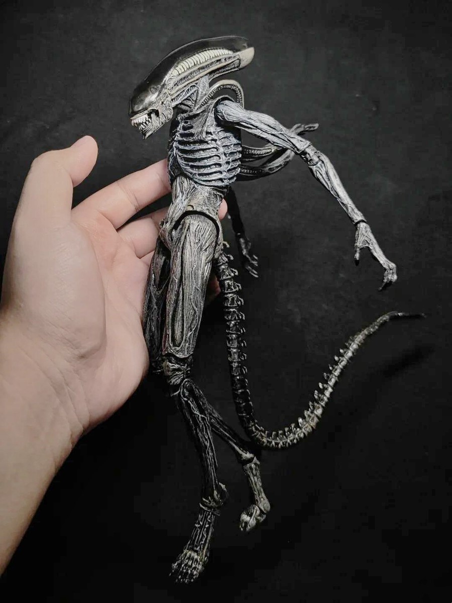 NECA Alien Xenomorph エイリアン コヴェナント ネカ 41O5QSJgykL.jpg_BO30,255,255,
