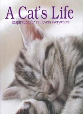 Inspirational Books: A Cat's Life