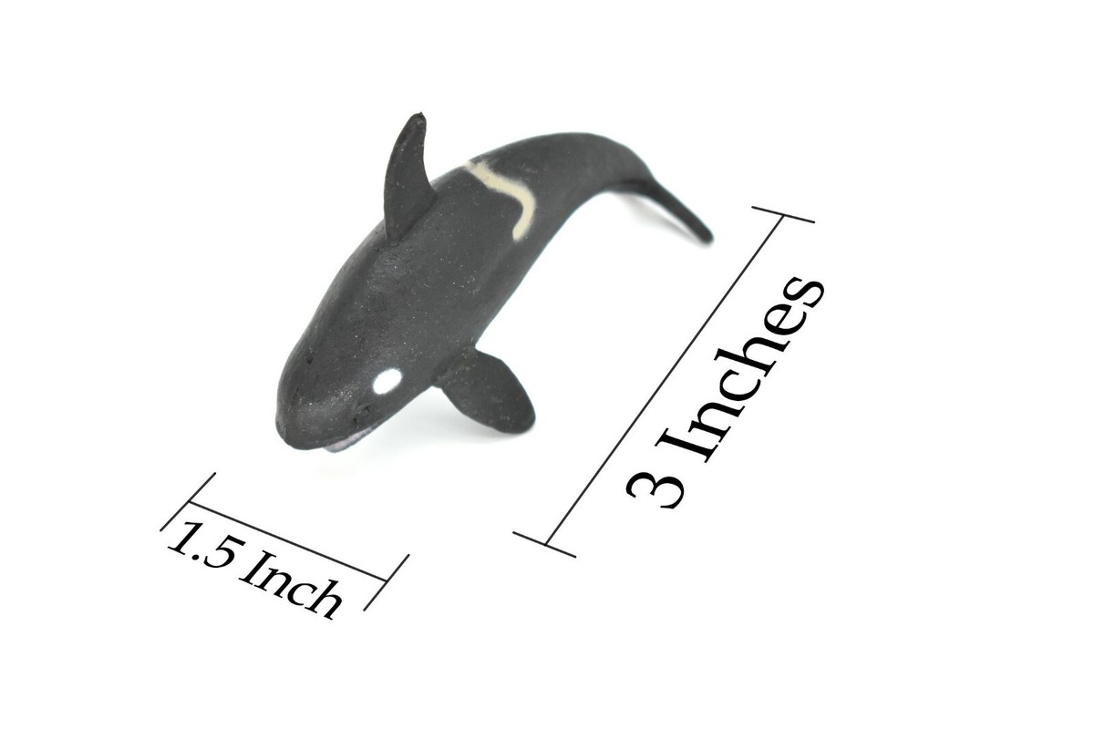 Orca, Killer Whale, Leaping, Very Nice Plastic Replica 3