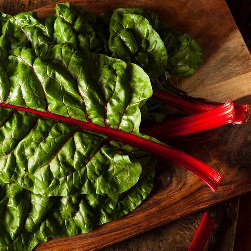 1/4 Lb Ruby Red Swiss Chard Seeds - Everwilde Farms Mylar Seed Packet - Picture 2 of 2