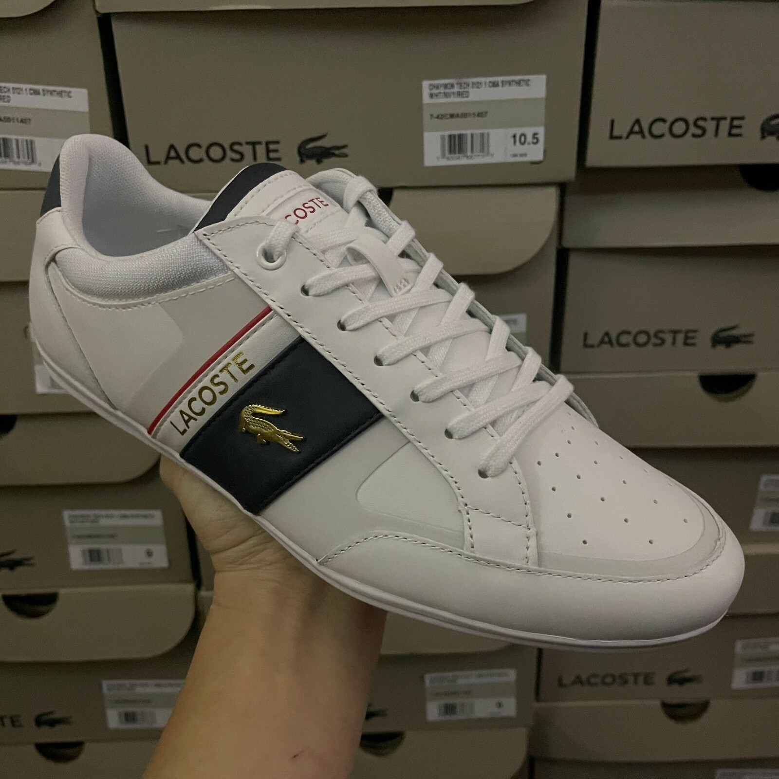 LACOSTE CHAYMON WHITE/NAVY/RED 7 