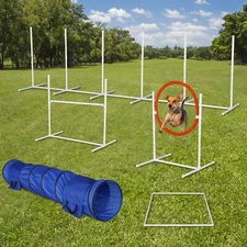 6Pack Outdoor Dog Pet Agility Training Equipment Backyard Starter Course Set USA