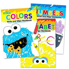 Set of 3 Sesame Street Write and Wipe Workbooks Alphabet, Numbers,  Colors 