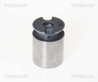 Kolben Bremssattel Triscan 8170 233863 FüR Ford Jaguar Renault B4Y 38Mm Stahl 3
