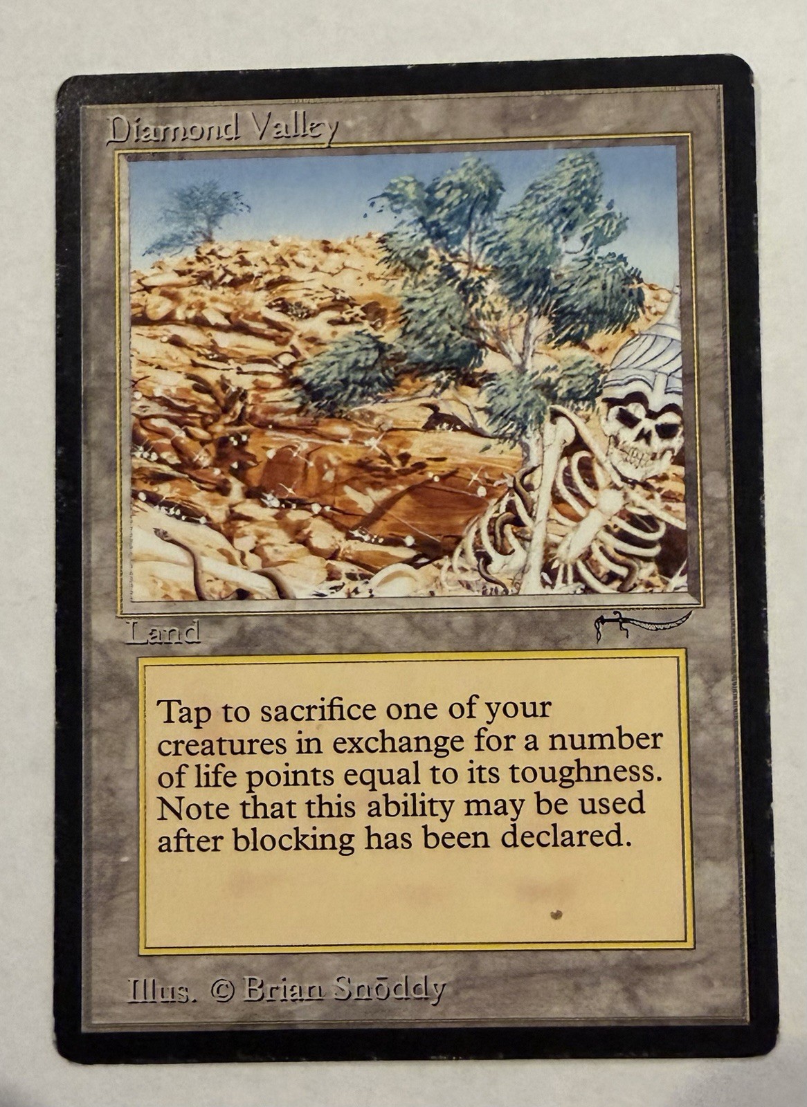 Magic the Gathering Arabian Nights Diamond Valley LP MTG