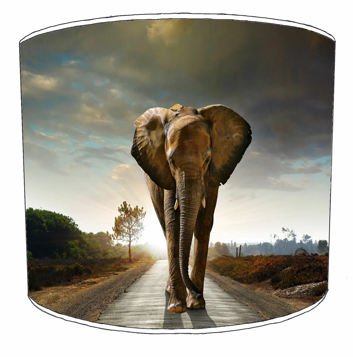 Elephant sale lamp shade