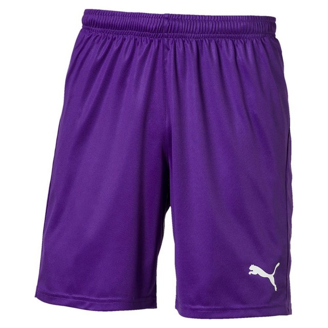 Puma Kids Boys Girls Liga Core Sports Football Soccer Training Shorts