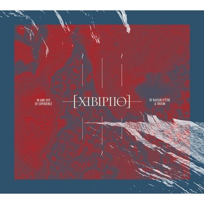 Raison De'etre & Troum - Xibipiio - In And Out (Vinyl 2LP - 2017 - EU - Reissue)