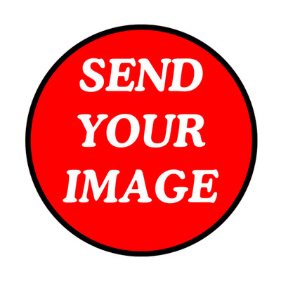 Custom Printed Stickers Logo Vinyl Decals Waterproof Die Cut Glossy Matte Holo