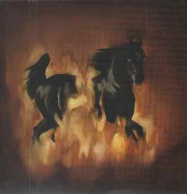 The Besnard Lakes Are The Dark Horse NEAR MINT Jag Jaguar Vinyl LP