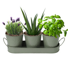 Set of 3 Windowsill Metal Herb Pots & Drip Tray Indoor/Outdoor Embossed Planter