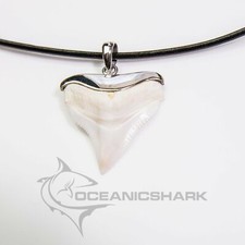 Bull Shark Tooth 92.5 SS 26-29mm silver wrapped infused men's gift s10