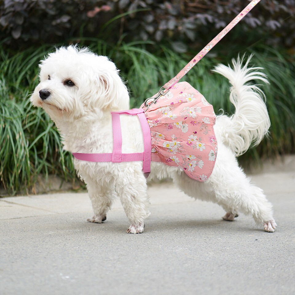 Cute Pink Dog Dress Harness Leash Set Mesh Puppy Vest Skirt with Flower