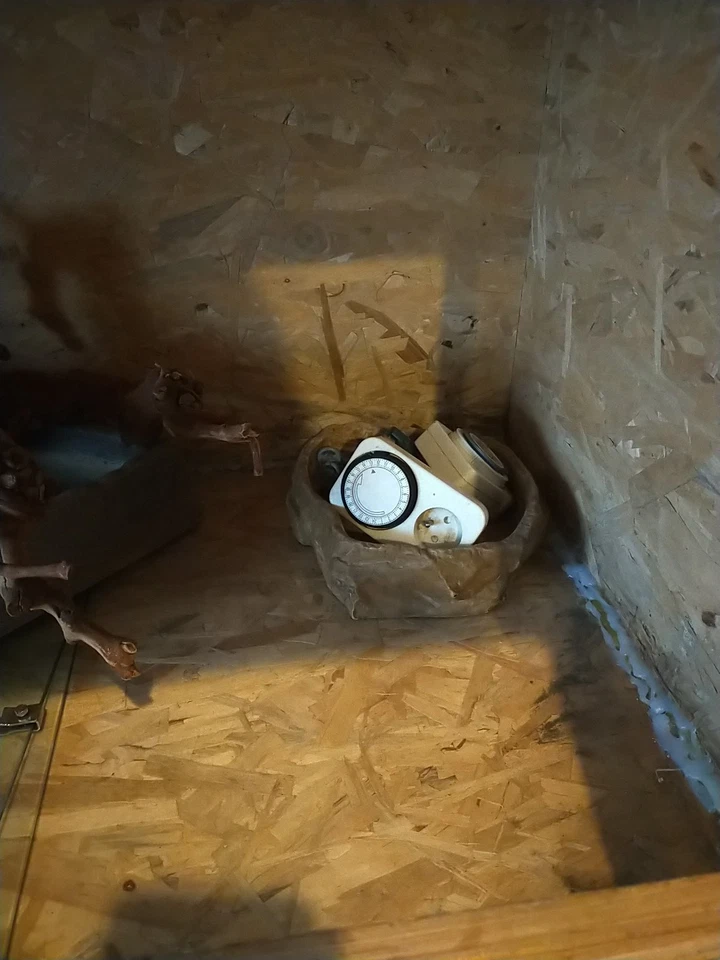 Un Vivarium - Photo 4/4