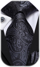 Mens Paisley Striped Tie WOVEN Necktie for Men and Handkerchief Cufflinks Set We