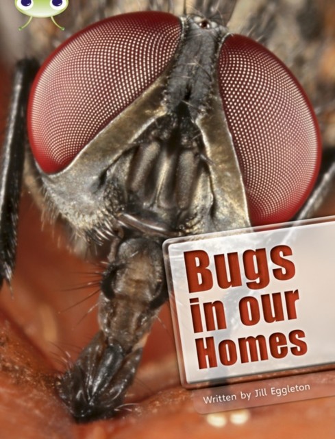 Bug Club Independent Non Fiction Year Two Lime A Bugs In Our Homes Jill Eggleton - Image 2