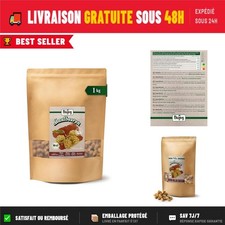Biojoy Mûres Blanches Séchées 1kg | Sans Sucre Ajouté | Bio | Turquie