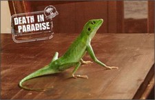 DEATH IN PARADISE DRINKS COASTERS, FRIDGE MAGNETS & KEYRINGS 