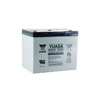 Batterie alarme incendie cyclique rechargeable YUASA REC80-12 12V 80AH 