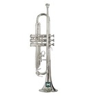 Nickel Finish Trumpets