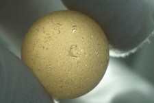 Sea Glass - 21g - MARBLE - Barrier Islands XL JQ who23