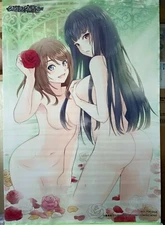 PS4Dark Rose Valkyrie KUROBARA NO VALKYRIE LIMITED EDITION W/ B2 Wall Scroll New