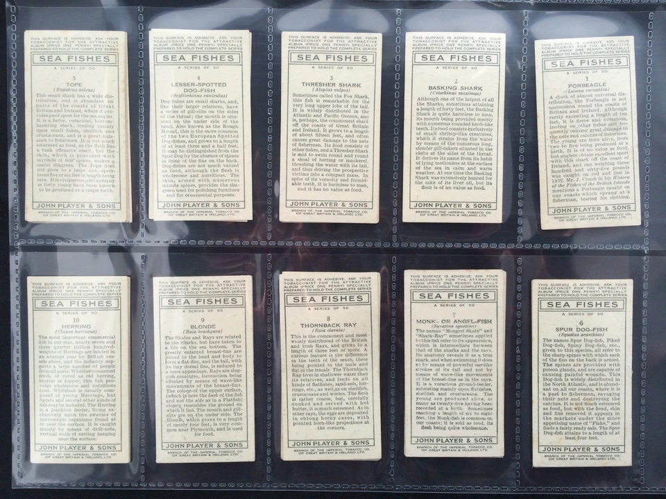 PLAYER'S - SEA FISHES 1935 (G/F) ***PICK THE CARDS YOU NEED*** - Image 3 of 4