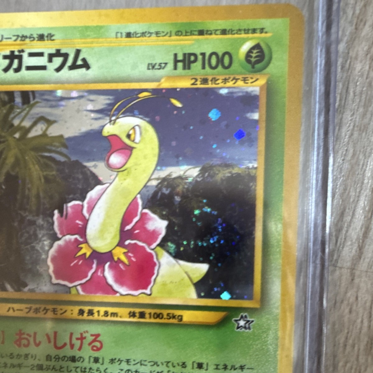 Meganium 154 Gold, Silver to a New World Holo Rare Fart Swirl