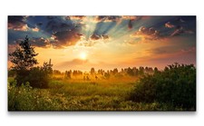 120x60cm Leinwandbild Natur Sonnenuntergang Waldrand Bäume Himmel Frieden