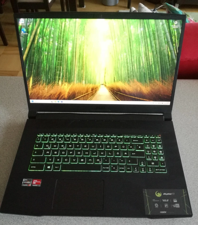 Legend MSI Alpha 17 B5EEK Limited AMD Advantage™ Edition Ryzen 7 great condition - Bild 4 von 4