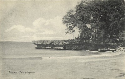 German Caroline Islands, Palau Angaur, Beach Scene (1910s) Micronesia Postcard