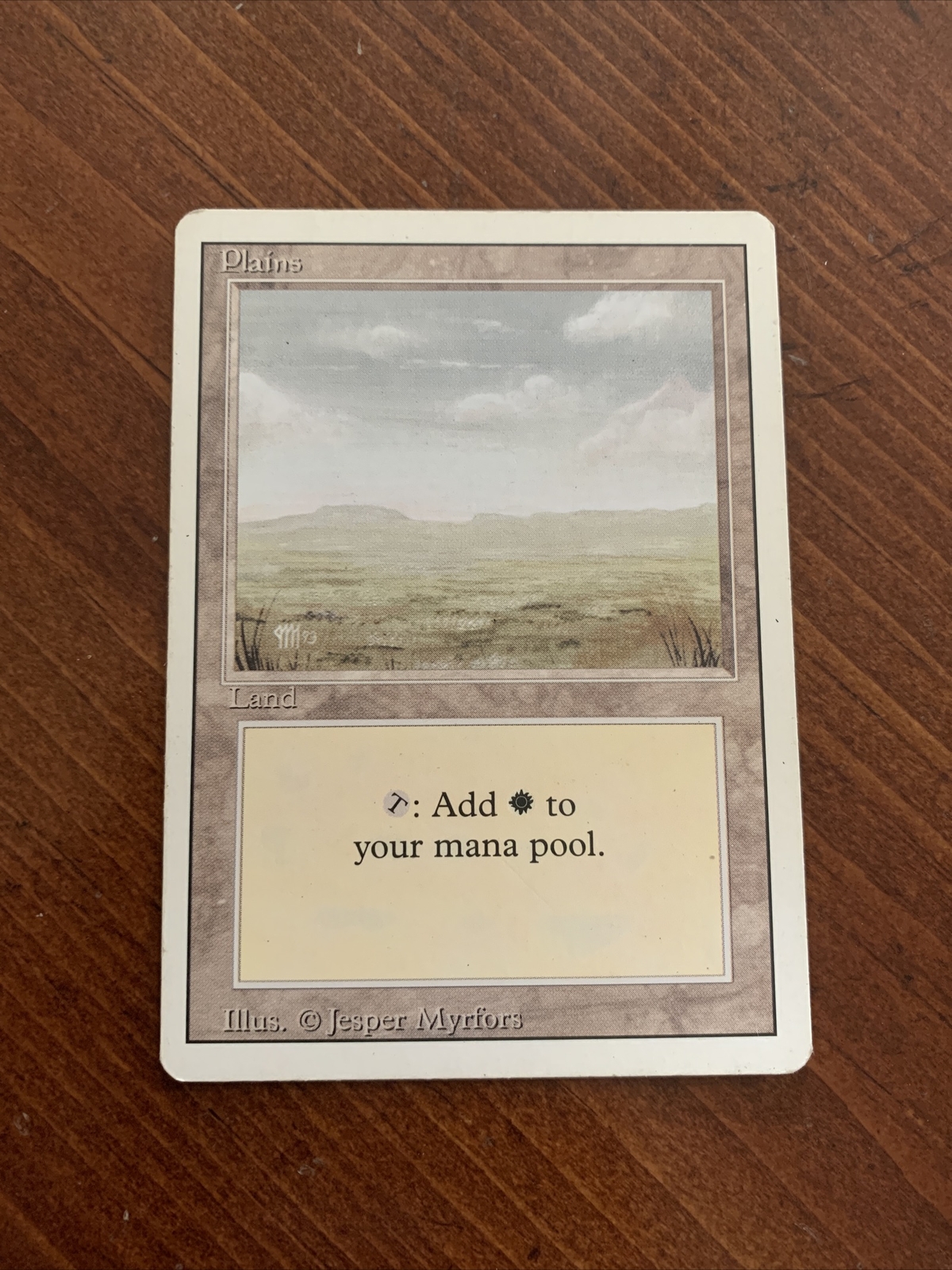 MTG MAGIC PLAINS Plains Land Magic The Gathering