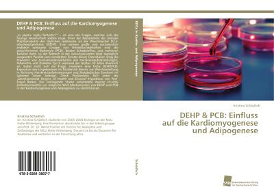 DEHP & PCB: Einfluss auf die Kardiomyogenese und Adipogenese | Buch | 9783838138