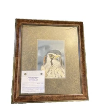 1996 Original Signed Steve Leonardi  Watercolor Painting Wildlife Artist KESTREL