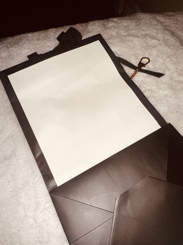 Gucci Gift Bag- W/ Gucci Gold Key Chain. - Picture 3 of 3