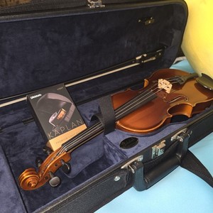 Karl Hofner Violin | eBay