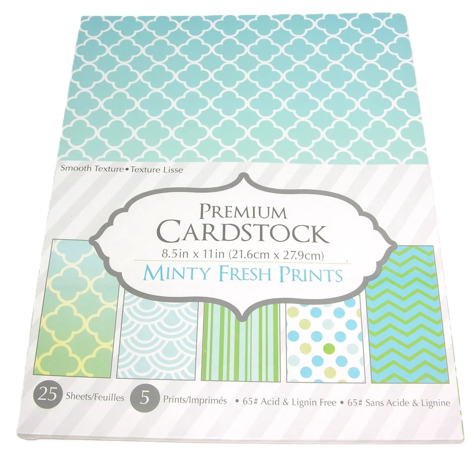 NIP Retired DARICE  8.5" x 11" Premium Cardstock Scrapbook Paper YOU CHOOSE - Image 3 of 4