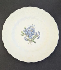 Spode Bermuda Flowers Plumbago Luncheon Plate Copeland England