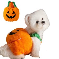 Winmany Cute Pumpkin Costume for Small Dogs Cats Lightweight Large, Orange