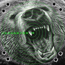 6 x Bear Adhesive Targets Airgun Rifle Pistol 22 177 Target Shooting 14cm